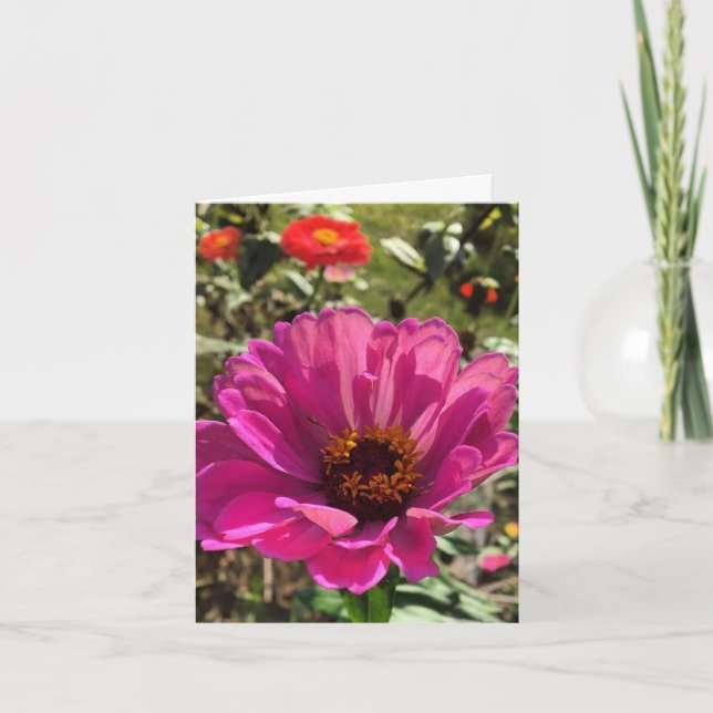 gerbera notecard (blank inuti) anteckningskort (Framsida)