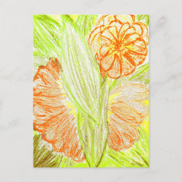 Gerbera och Aspidistra elatior, Vykort