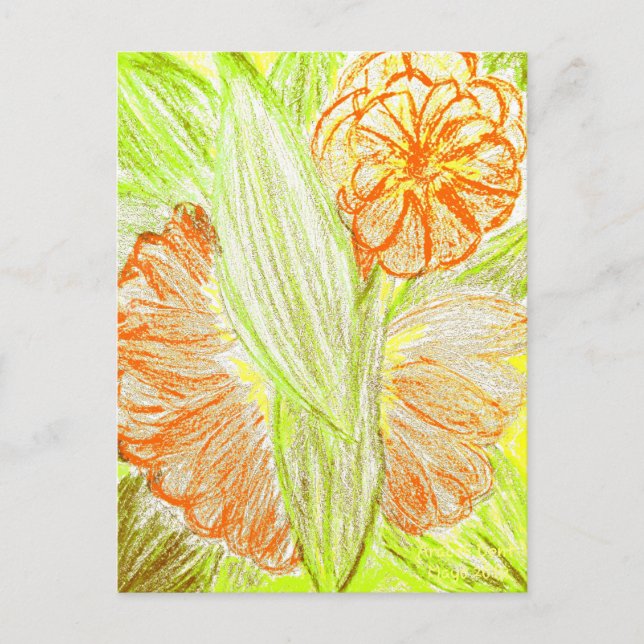Gerbera och Aspidistra elatior, Vykort (Framsida)