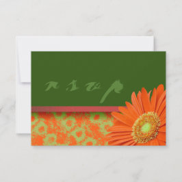 Gerbera Orange Grönt Script OSA kort