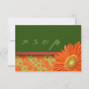Gerbera Orange Grönt Script OSA kort