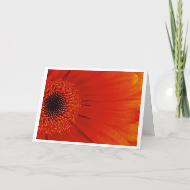 Gerbera - orange kort (Framsida)
