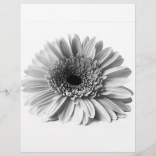 Gerbera Reklamblad