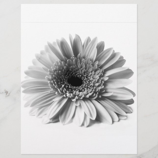 Gerbera Reklamblad (Framsidan)