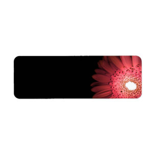 Gerbera Returadress Etikett