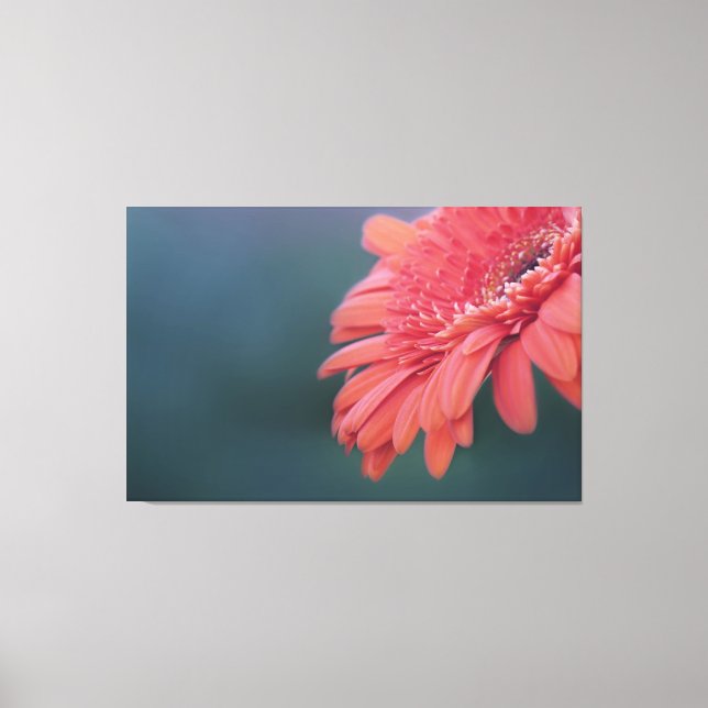 Gerbera röd blomma canvastryck (Framsida)