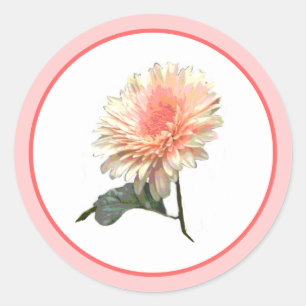 Gerbera Splinder Design Runt Klistermärke