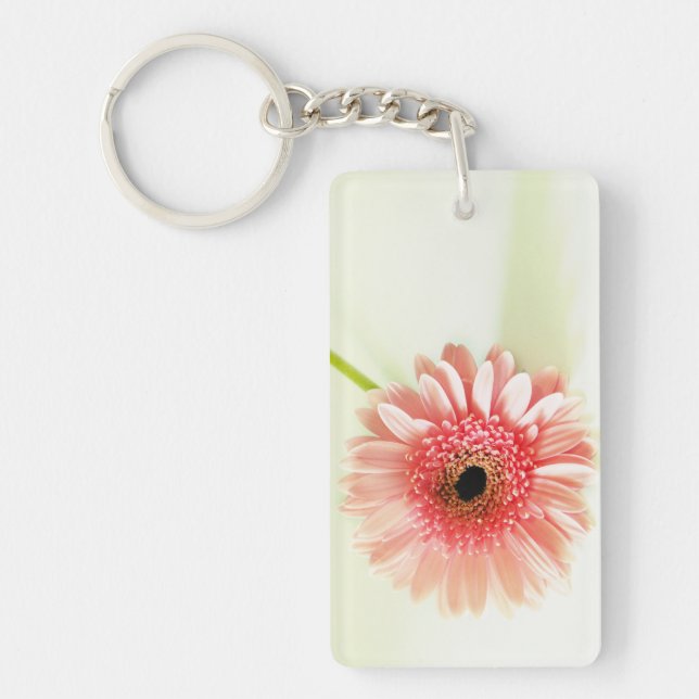 Gerbera tusensköna (Framsidan)