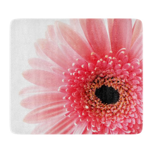 Gerbera Tusenskönor   (Framsidan)