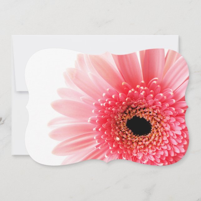 Gerbera Tusenskönor Affisch (Framsida)