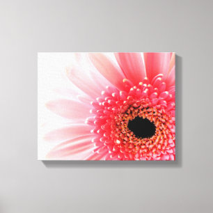 Gerbera Tusenskönor Affisch Canvastryck