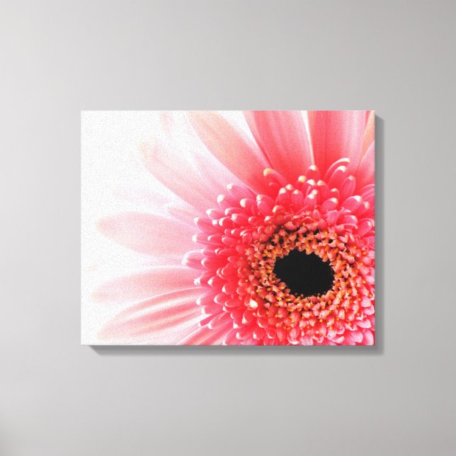 Gerbera Tusenskönor   Canvastryck (Framsida)