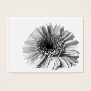 Gerbera Visitkort