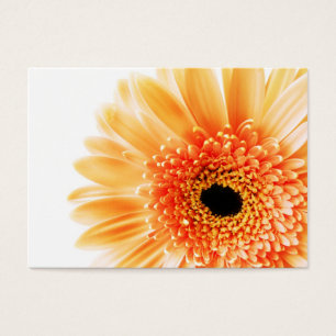 Gerbera Visitkort