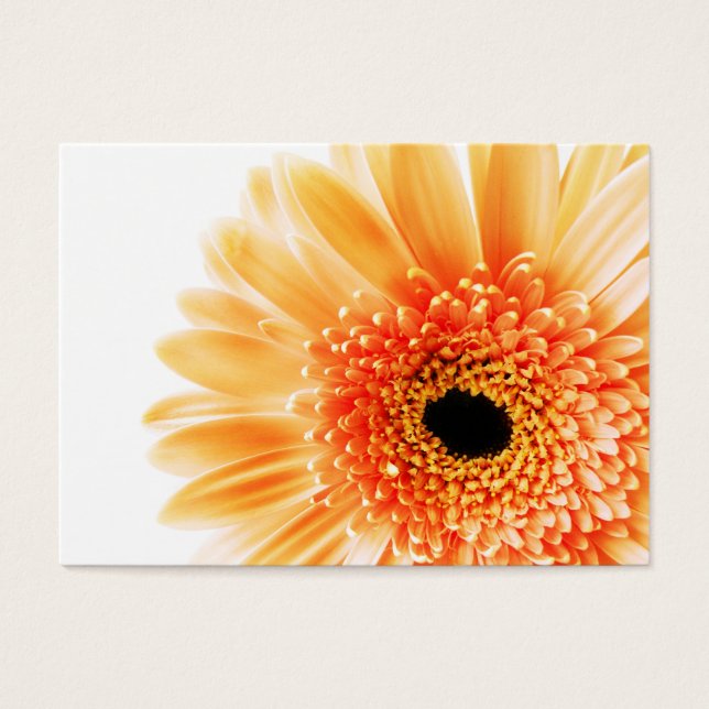 Gerbera Visitkort (Framsidan)