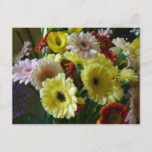 Gerbera Vykort