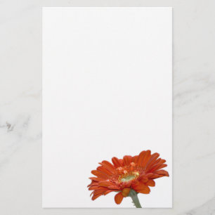 Gerberablomma för orange daisy brevpapper