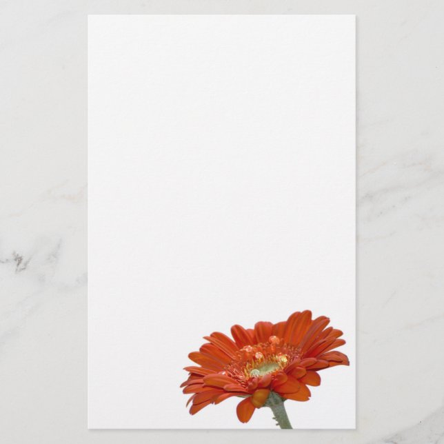 Gerberablomma för orange daisy brevpapper (Framsida)