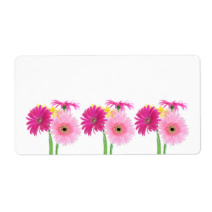 GerberadaisyPiink blommor Fraktsedel