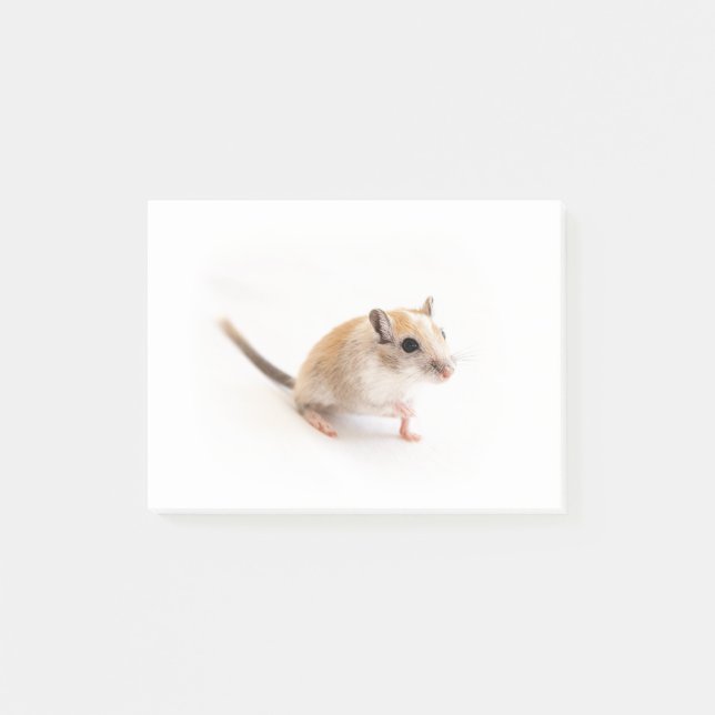 Gerbil Cute Baby djur Pet Gerbils mall Post-it Block (Framsida)