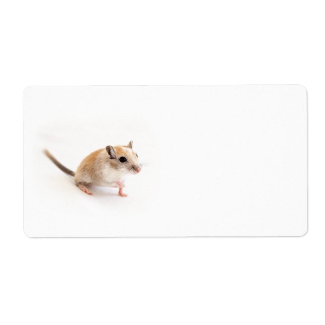 Gerbil Cute Baby djur Pet Gerbils Template Fraktsedel (Framsidan)