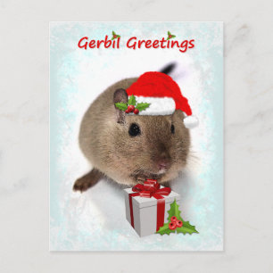 Gerbil Hälsning vykort