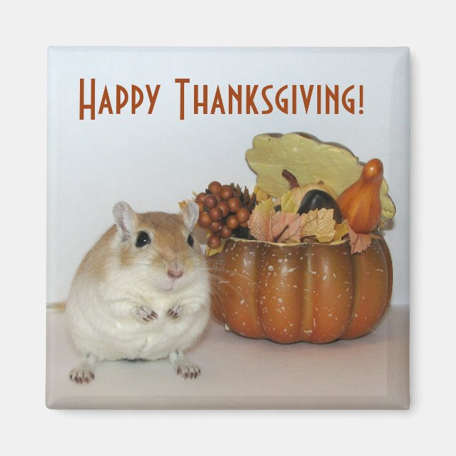Gerbil Thanksgiving Magnet (Framsidan)