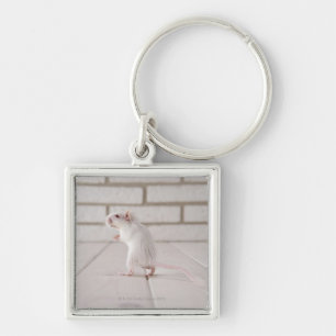 Gerbilanseende Fyrkantig Silverfärgad Nyckelring