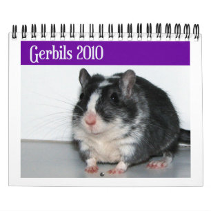 Gerbils Calendar (reprinten) Kalender