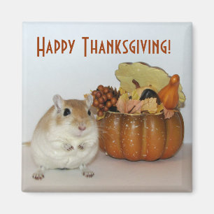 Gerbilthanksgivingmagnet Magnet