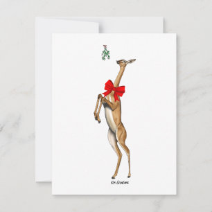 Gerenuk - julkort