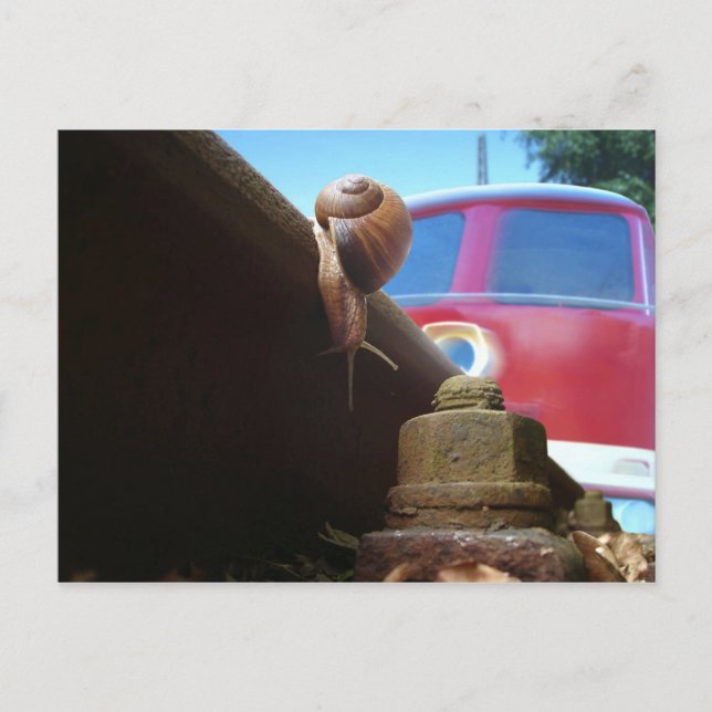 gerettet vykort (Framsida)