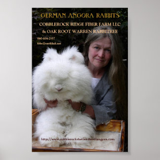 GERMAN ANGORA RABBIT MAG. LÄGG TILL. POSTER