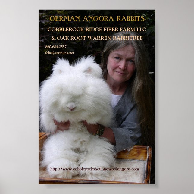 GERMAN ANGORA RABBIT MAG. LÄGG TILL. POSTER (Framsidan)