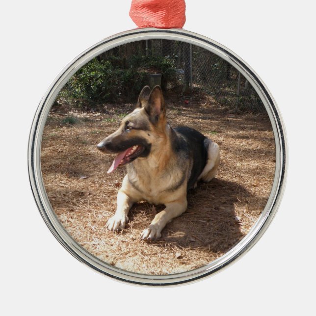 german shepard 2 julgransprydnad metall (Framsidan)