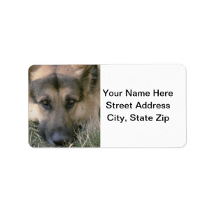 German shepard adressetikett