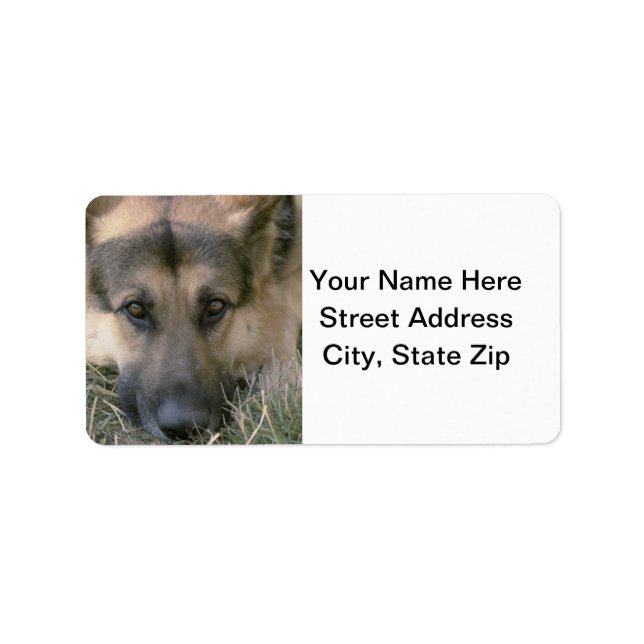 German shepard adressetikett (Framsidan)