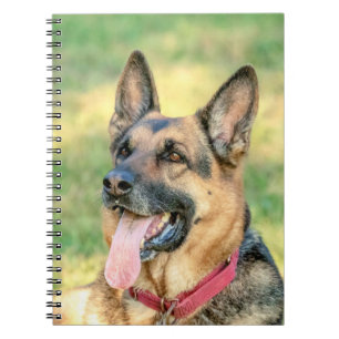 German shepard anteckningsbok med spiral