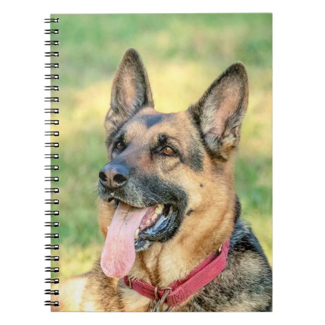German shepard anteckningsbok med spiral (Framsidan)