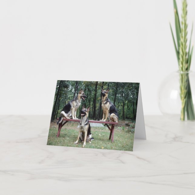 German shepard-anteckningskort kort (Framsida)