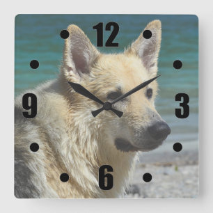 German shepard efter havet fyrkantig klocka