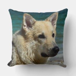German shepard efter havet kudde