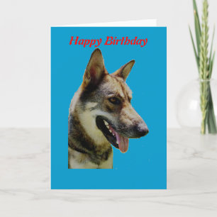 German shepard-födelsedagskort kort