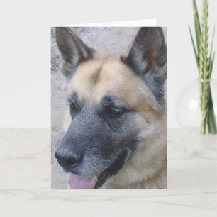 German shepard-födelsedagskort kort
