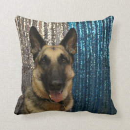German shepard kudde