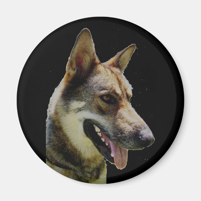German shepard Magnet (Framsidan)