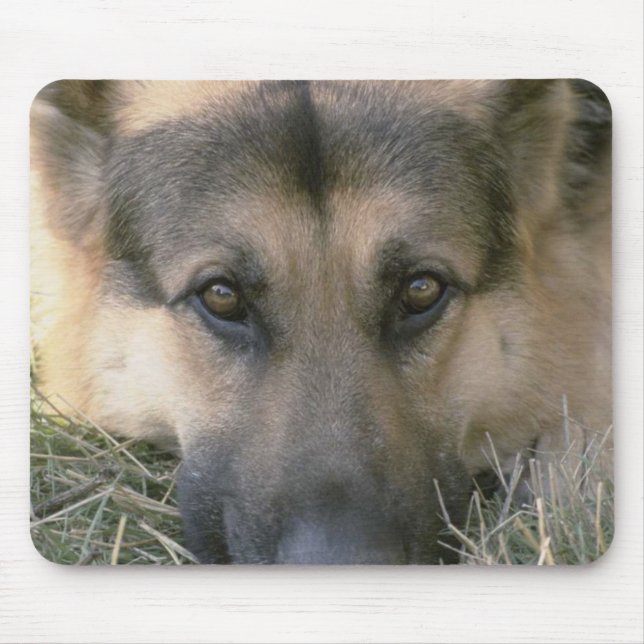 German shepard musmatta (Framsidan)