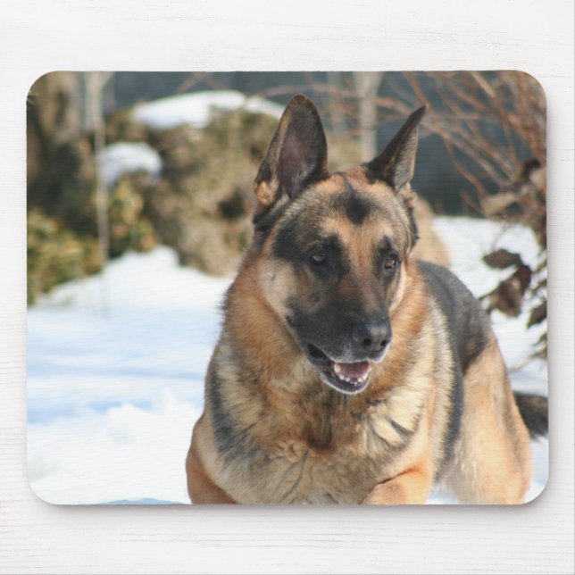 german shepard musmatta (Framsidan)