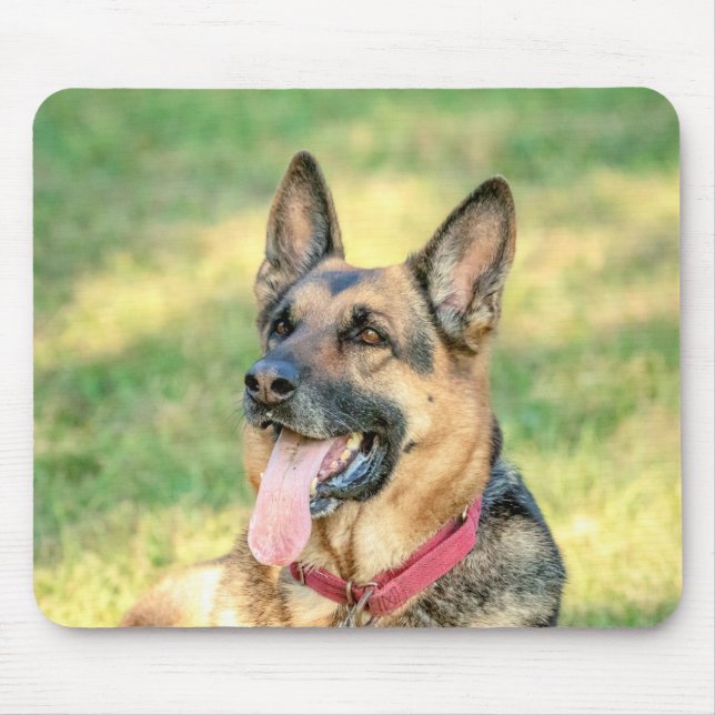 German shepard musmatta (Framsidan)