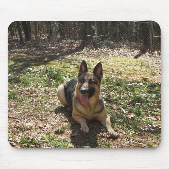 german shepard musmatta (Framsidan)